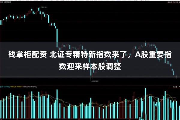 钱掌柜配资 北证专精特新指数来了，A股重要指数迎来样本股调整
