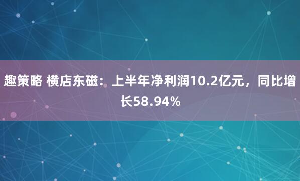 趣策略 横店东磁：上半年净利润10.2亿元，同比增长58.94%