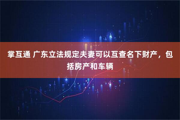 掌互通 广东立法规定夫妻可以互查名下财产，包括房产和车辆