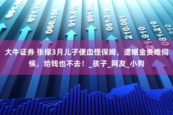 大牛证券 张檬3月儿子便血怪保姆，遭嘲金贵难伺候，给钱也不去！_孩子_网友_小狗